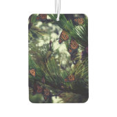 THEMONARCHS MONARCHS 3  LUCHTVERFRISSER (Achterkant)