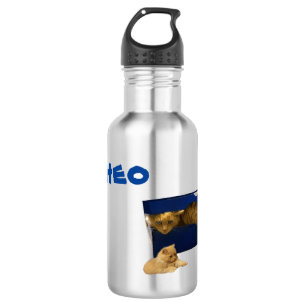 Theo Naam Met Kat In Een Doos, Waterfles