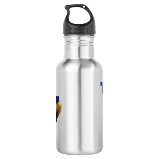 Theo Nom Avec Chat Dans Une Boîte, Bouteille D'Eau (Dos)