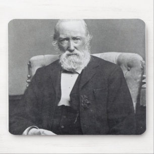 Theodor Storm, c.1886 Muismat