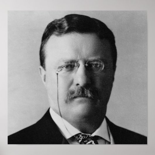 Theodore Roosevelt 26 Poster (Voorkant)