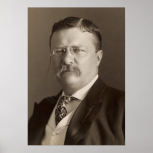 Theodore Roosevelt, 26e President van de Verenigde Poster