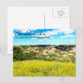 Theodore Roosevelt Badlands, ND Briefkaart (Voorkant / Achterkant)
