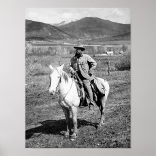 Theodore Roosevelt die terugkeert uit een Beer shu Poster