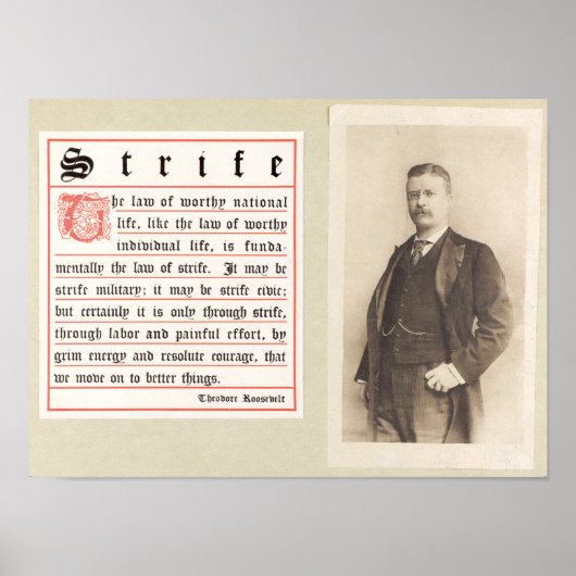 Theodore Roosevelt Motivatie Poster (Voorkant)