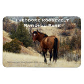 Theodore Roosevelt NP Magnet souvenir (Horizontal)