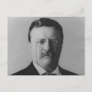 Theodore Roosevelt Portrait Briefkaart
