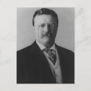 Theodore Roosevelt Portrait Briefkaart