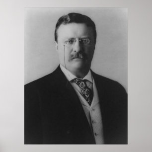 Theodore Roosevelt Portrait Poster