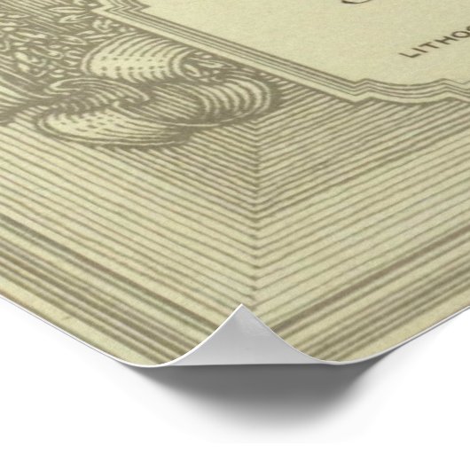 Theodore Roosevelt Poster (Hoek)