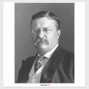 Theodore Roosevelt Teddy President Sticker