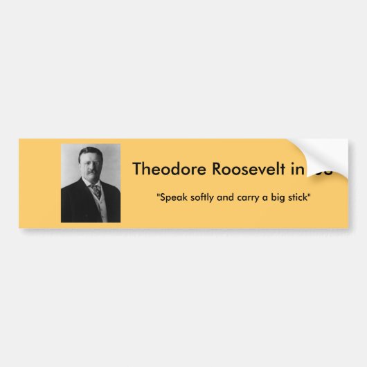 Theodore Roosevelt voor President Bumpersticker (Voorkant)