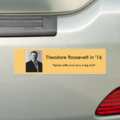Theodore Roosevelt voor President Bumpersticker (Op auto)