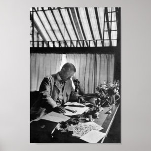 Theodore Roosevelt werkt op het bureau - Sagamore Poster