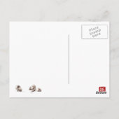 Thera briefkaart (Achterkant)