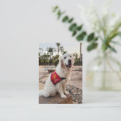 Thérapie Carte de Commerce de Chien pour Thérapie (Debout devant)