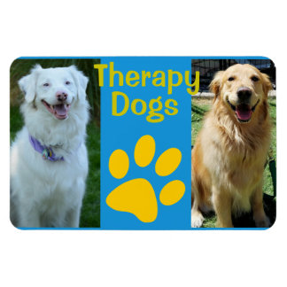 Therapie hond magneet