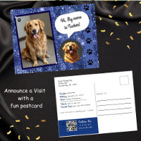 Therapiehond Bezoek Blue Sparkle