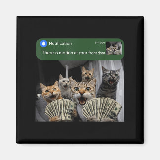 There is motion at front door funny cat motion mem magneet