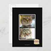 thermometer briefkaart (Voorkant / Achterkant)