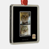 thermometer metalen ornament (Rechts)