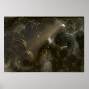 Theron   Zachte grot Poster