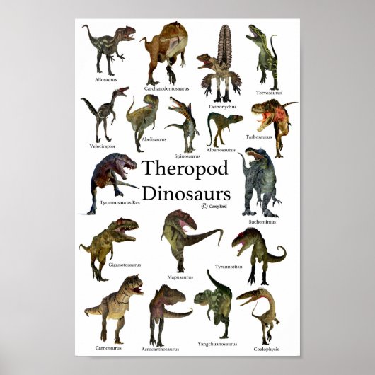 Theropod Dinosaurs Poster (Voorkant)