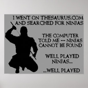 Thesaurus Ninjas Funny Ninja Poster Sign.
