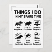 Things I Do In My Spare Time Capybara Funny Pet Briefkaart (Voorkant / Achterkant)