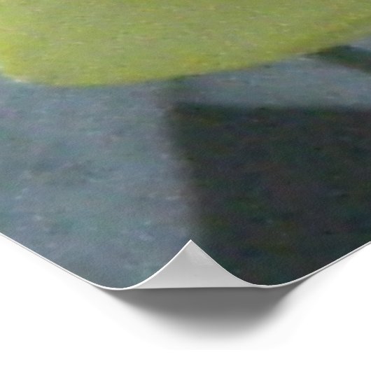 Think Spring! Poster (Hoek)