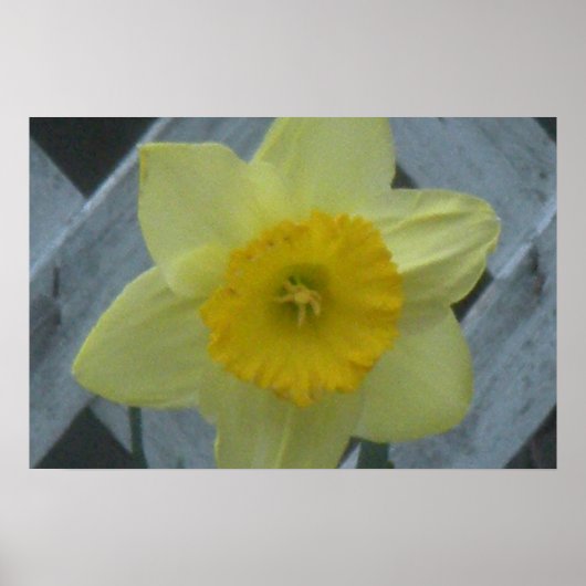 Think Spring! Poster (Voorkant)