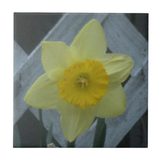 Think Spring! Tegeltje