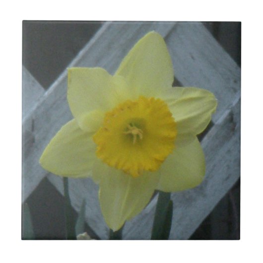 Think Spring! Tegeltje (Voorkant)