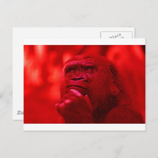 Thinking Gorilla Briefkaart (Voorkant / Achterkant)