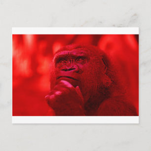 Thinking Gorilla Briefkaart