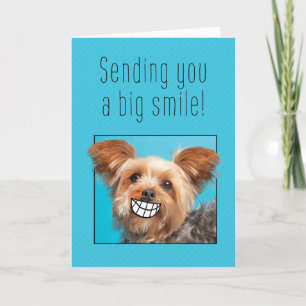 Thinking of You Big Smile Yorkie Dog Feestdagen Kaart
