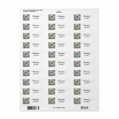 THINKING OF YOU-CARDINALS- RETURN ADDRESS LABELS (Full Sheet)