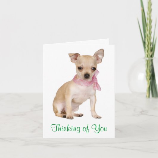 Thinking of You Chihuahua Puppy Dog Greeting Card Kaart (Voorkant)