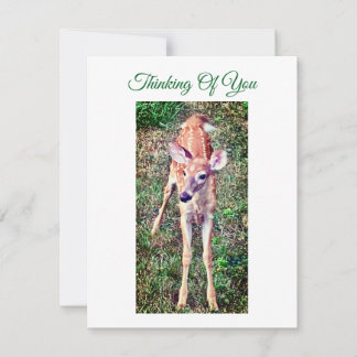 Thinking Of You Flat Note Card With Fawn Notitiekaartje