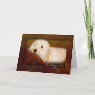 THINKING OF YOU - GOLDEN DOODLE (PET) OP EEN BANK KAART