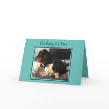 "Thinking of You" Kaart W/Schattige Basset Hound