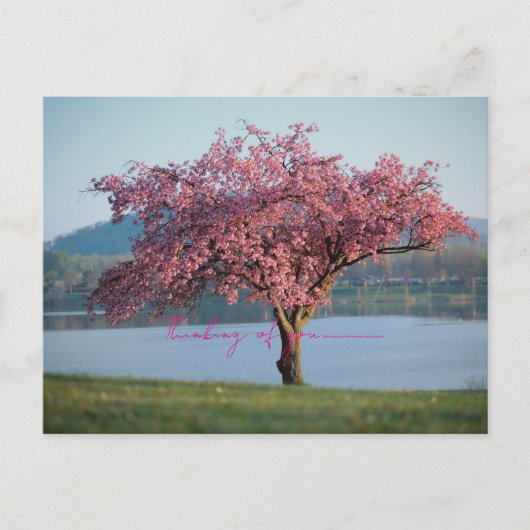 thinking of you nature  briefkaart (Voorkant)