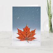 Thinking of You Orange Maple Leaf On Snow  Kaart (Voorkant)