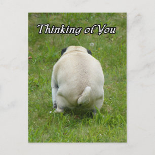Thinking of You Pug Going the Bathroom Briefkaart