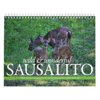 THINKSausalito 2012 Agenda Kalender