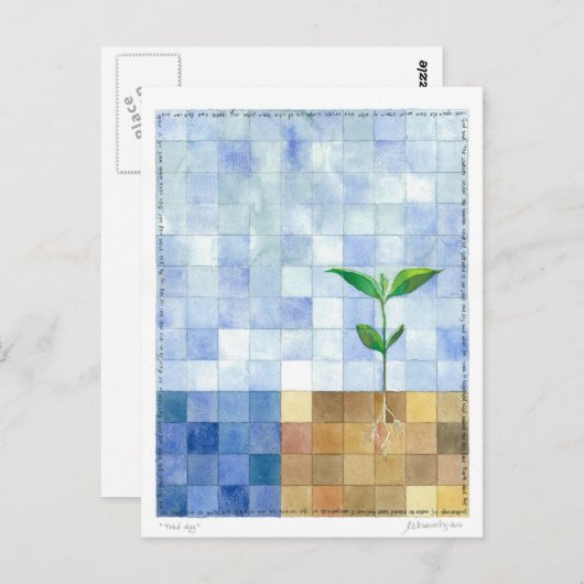 Third Day (7 days of creation) Postcard Briefkaart (Voorkant / Achterkant)