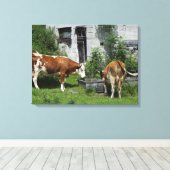 Thirsty Fleckvieh Canvas Afdruk (Insitu (Houten vloer))