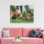 Thirsty Fleckvieh Canvas Afdruk (Insitu (Woonkamer))