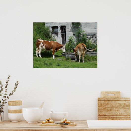 Thirsty Fleckvieh Poster (Keuken)