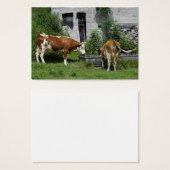 Thirsty Fleckvieh Visitekaartje (Voorkant /achterkant)